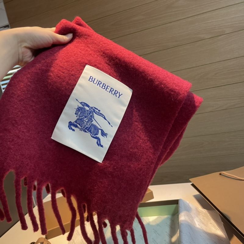 Burberry Scarf